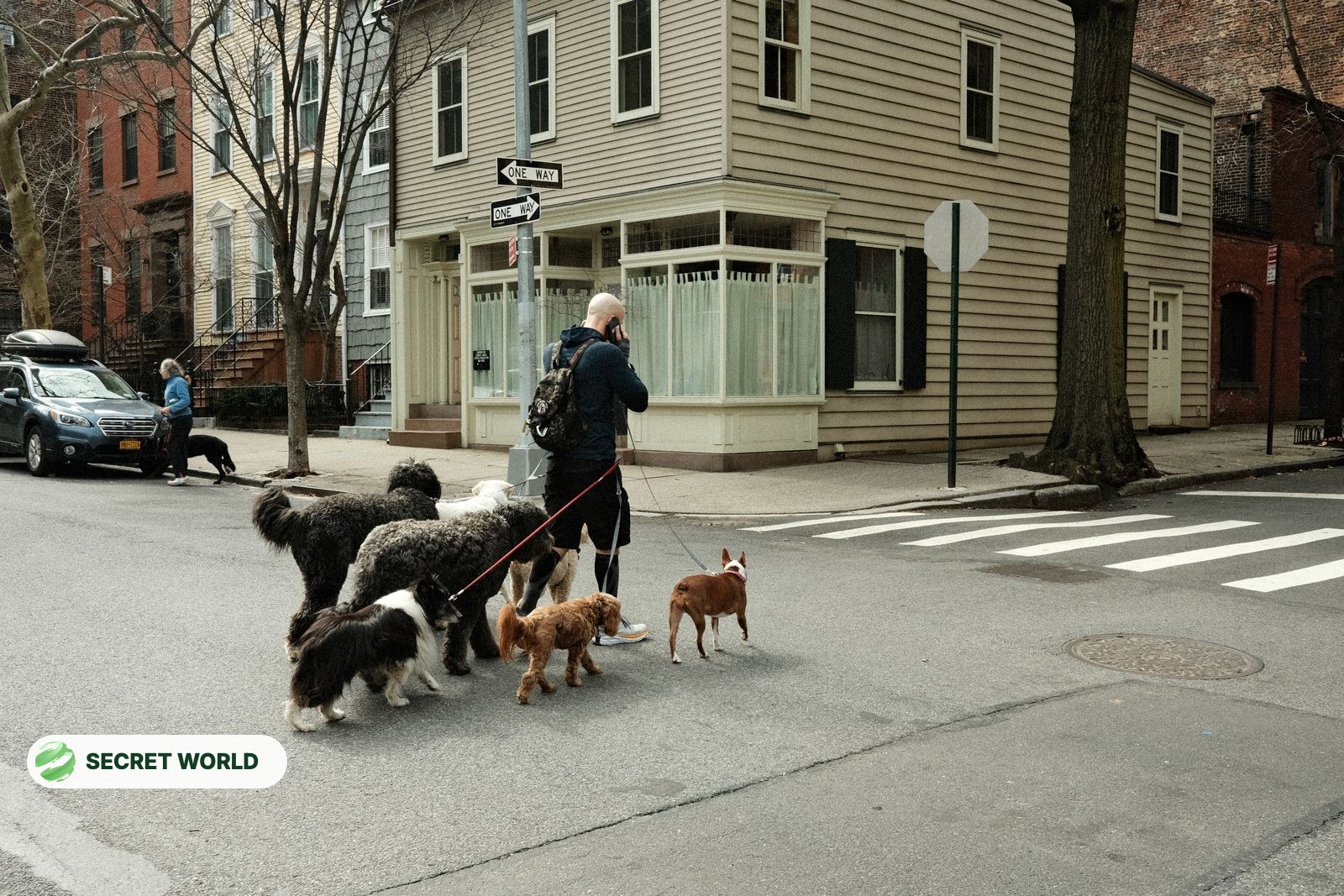 Moving Day, a Dog Walk, a New Sign: Tasks That Fit Secret World